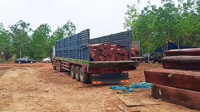 Military Police vow Mondulkiri forestry crimes investigation
