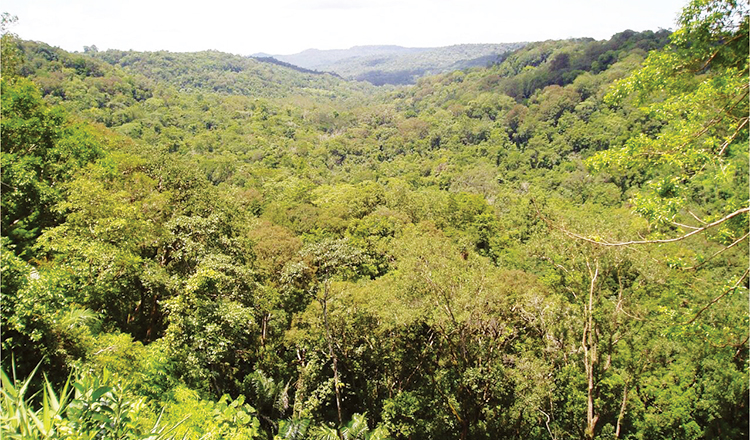 Mondulkiri authorities prevent land grab