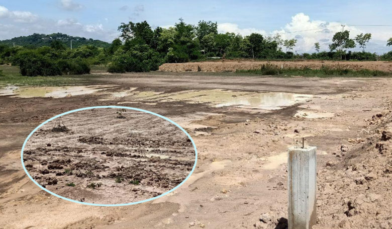 ម្ចាស់​ស្រុក​ឆ្លើយ​ដាក់​ម្ចាស់​ឃុំ រឿង​បុគ្គល​​ចាក់​ដី​រំលោភ​យក​ចំណី​អូរ