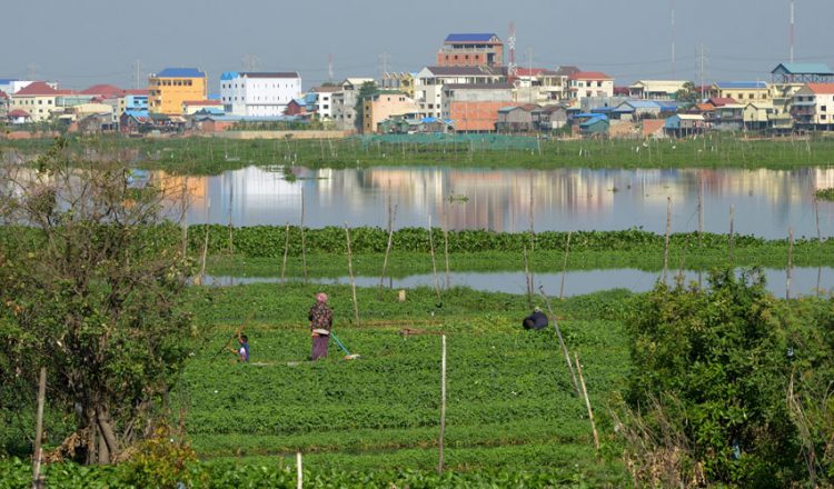 ក្រុមអង្គការក្រៅរដ្ឋាភិបាលពិភាក្សាគ្នារកមធ្យោបាយការពារតំបន់ដីសើមទន្លេមេគង្គ